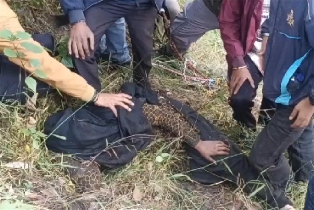 印度婦人慘遭惡熊襲擊「臉被撕爛」!獨躺深山1夜「奇蹟生還」畫面曝光