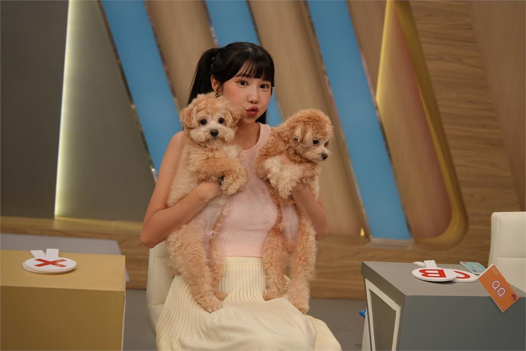 《醫學大聯盟》鹿希派超狂養12隻狗!與貓同住「互不理會」