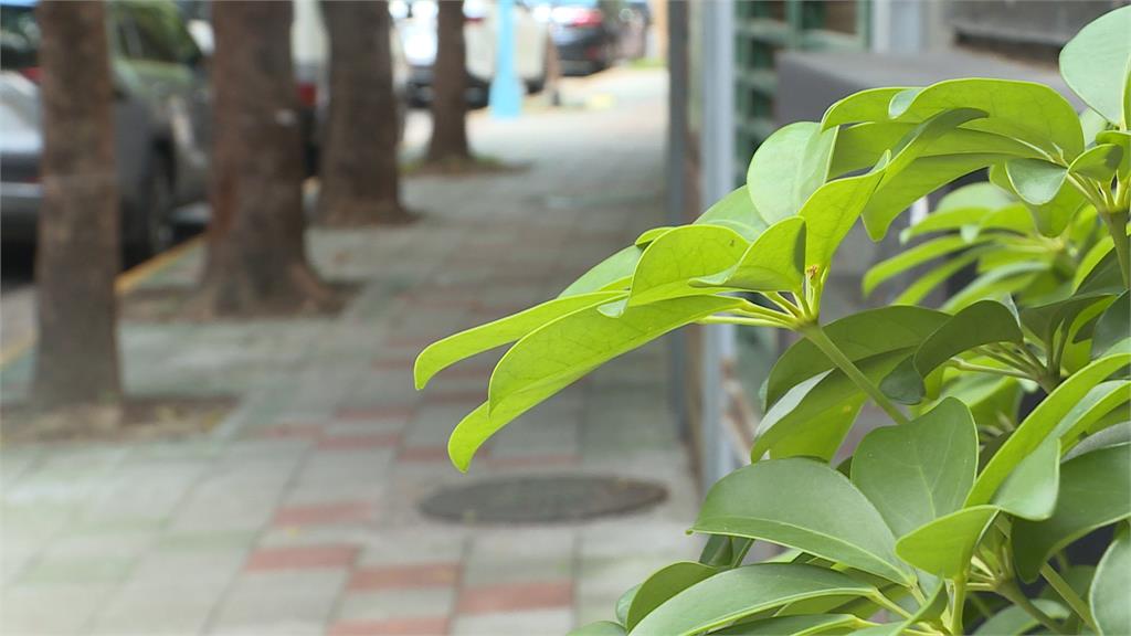 中國男女開直播跟拍國小生 遭制止反嗆「管太多」