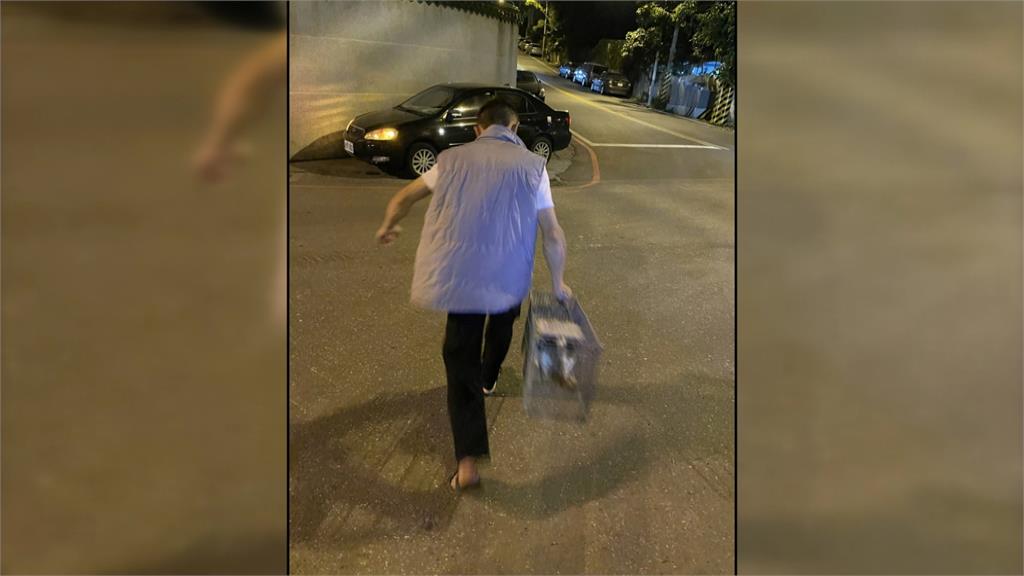 天王星"花花"找到了! 飼主報喜訊:花花自己進誘捕籠