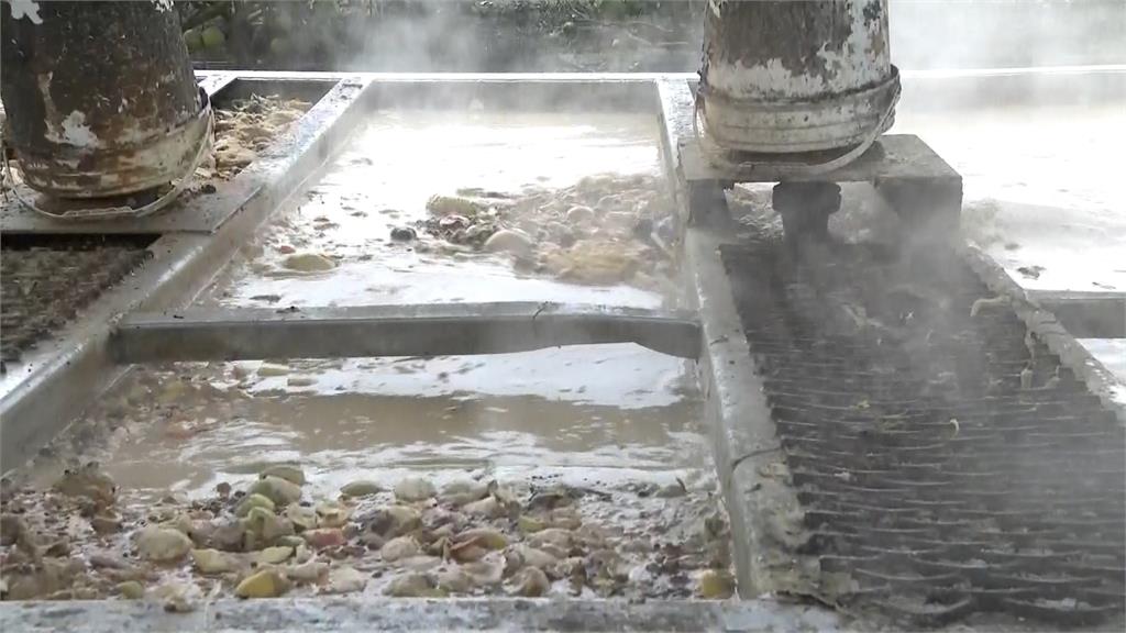 藍控未禁廚餘養豬淪破口? 賴清德親上火線還原當年真相