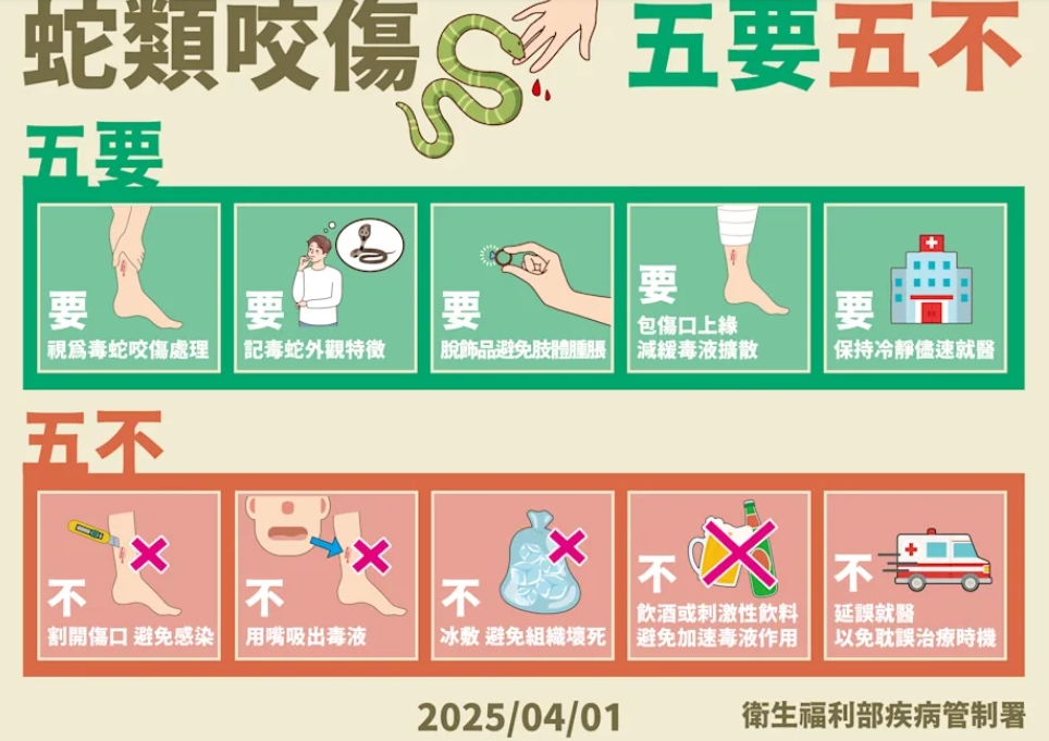 清明連假出門踏青小心「毒蛇」 疾管署曝「5要5不」緊急自救法!