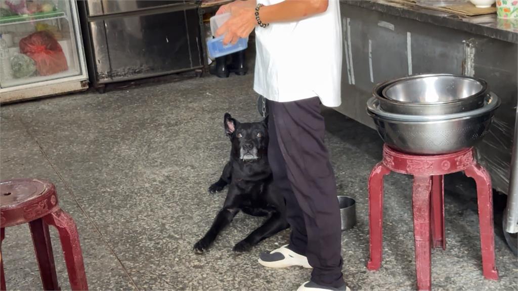 騎士遭快炒店黑狗咬傷 店家反嗆:怎麼咬人是牠的自由