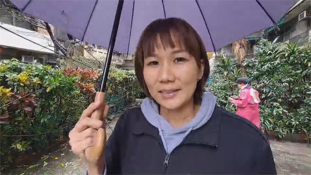 基隆台船宿舍百年老樹倒塌　壓毀機車還擋住公寓出入口