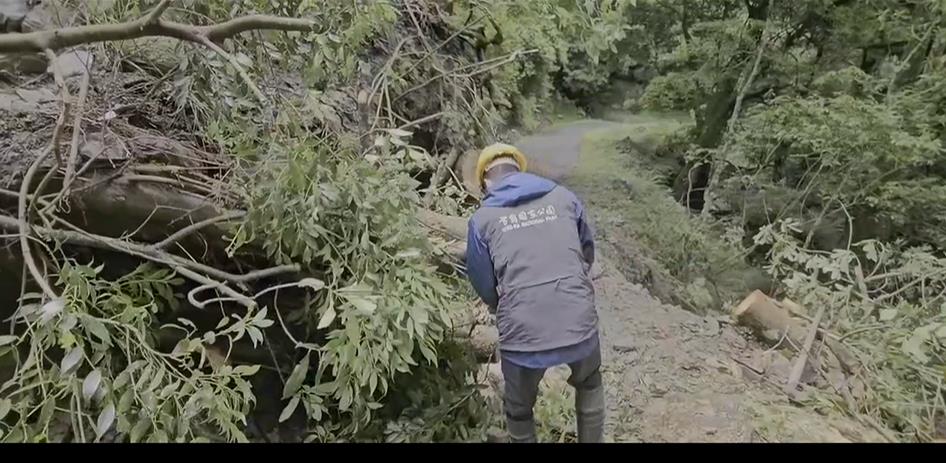 大雨釀多處坍方落石! 大鹿林道東線「暫禁自行車」