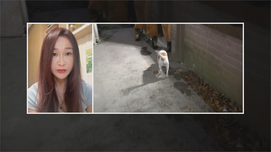 搜救犬Wilson死因遭疑　黃瓊慧爆「疑遭虐待」花蓮消防局駁斥