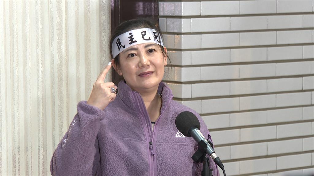 藍白強行通過3大爭議法案 民進黨:將採救濟手段護民主