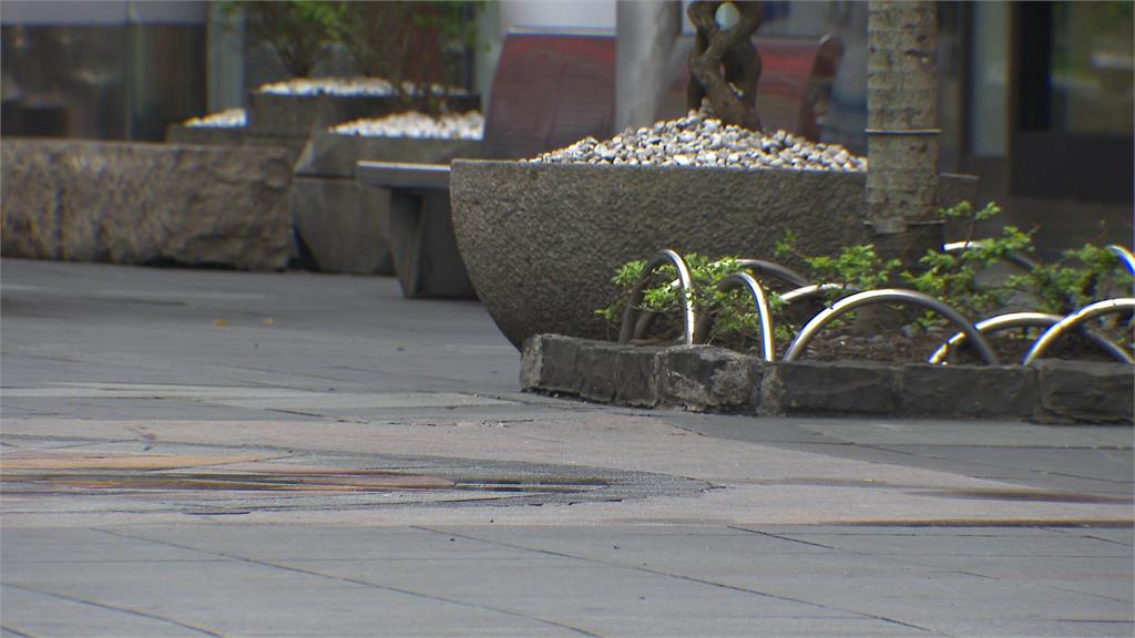 加拿大籍港男酒後辱罵警 脫序行徑被帶回保護管束