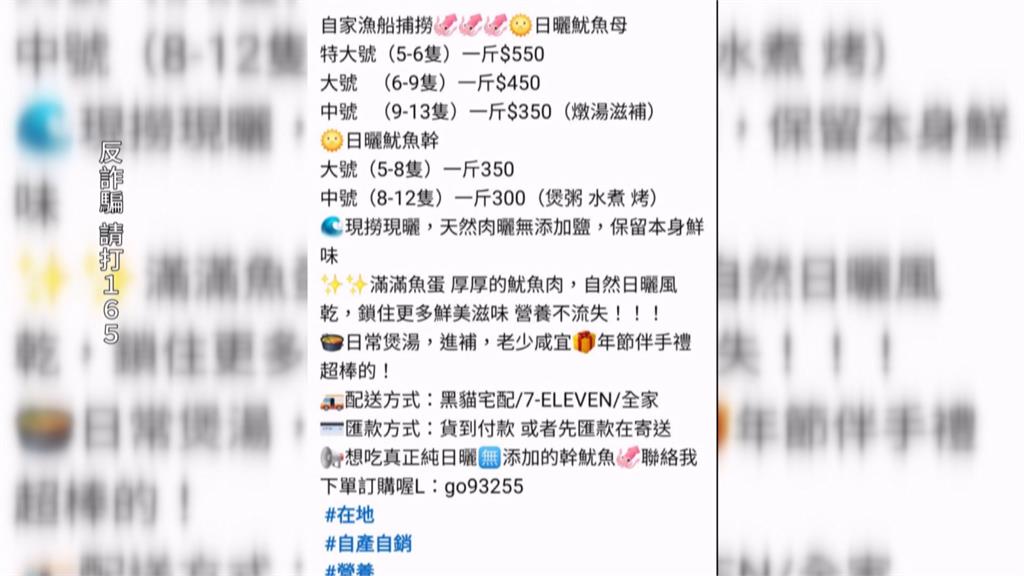 澎湖小管旺季驚現詐騙！　稱現撈低價爆卵魷魚