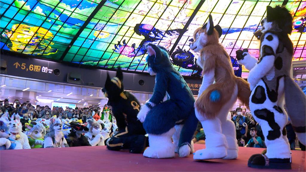 另類動物嘉年華!Cosplay毛毛動物 以毛會友推廣特殊獸裝文化