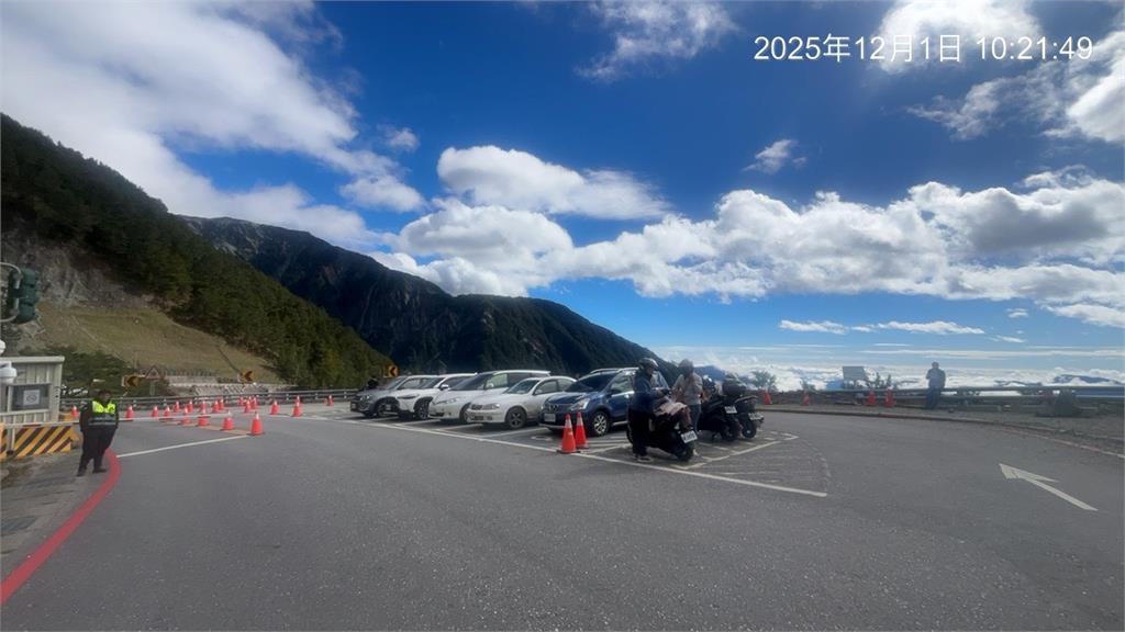 南橫公路恢復"全線通車" 山豬母子搶先闖關萌翻