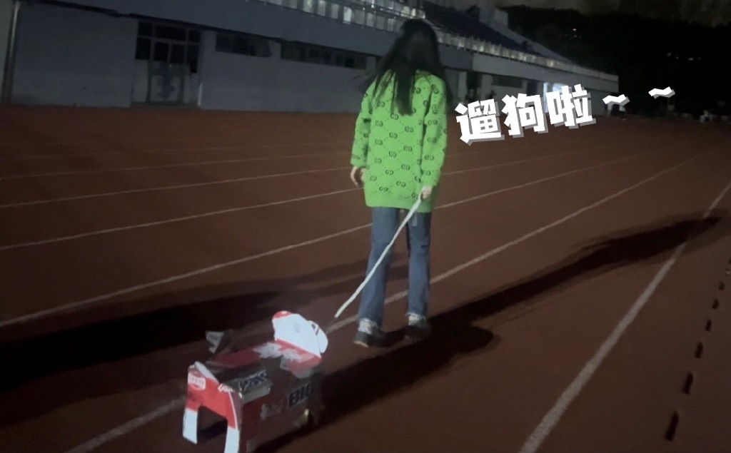 中國疫情下的「封」狂潮流　大學生苦悶瘋養「紙盒狗」牽去散步還相親