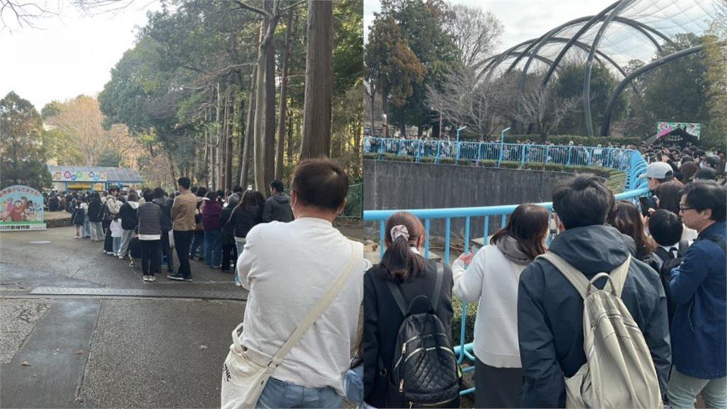 「玩偶小猴」Panchi暴紅癱瘓動物園！爭議網紅「砸700多萬收購」網怒嗆…