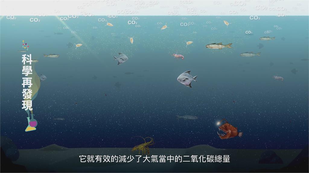 科技探索視角大不同 聲納發掘新海洋