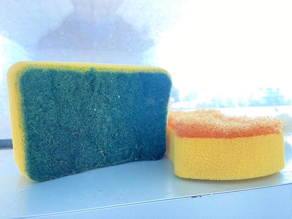 洗碗海綿竟比馬桶髒20萬倍?專家:孔洞食物殘渣是細菌的天堂!