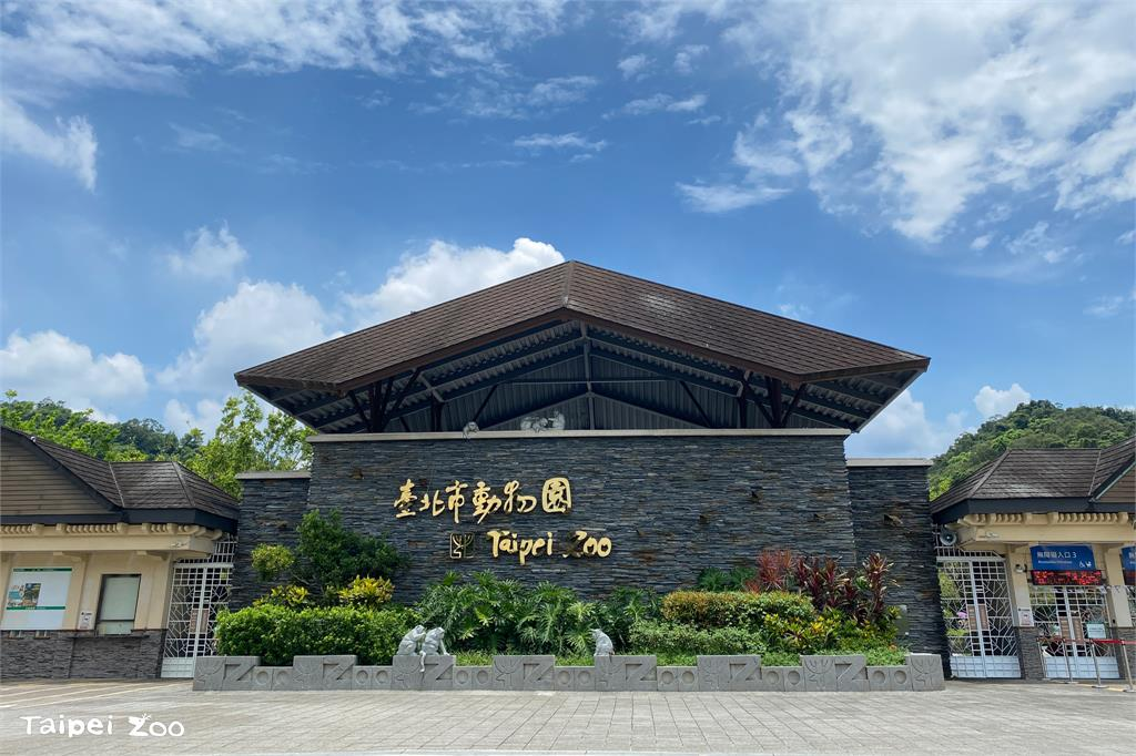 動物園年夜飯加香菜!黑猩猩一吃變臉「直接扔地上」:不想養了就直說