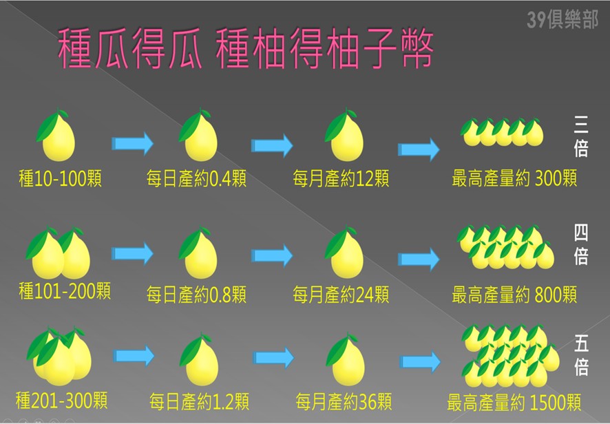 誆投資柚子幣高獲利! 前扶輪社社長涉詐欺坑殺2100人