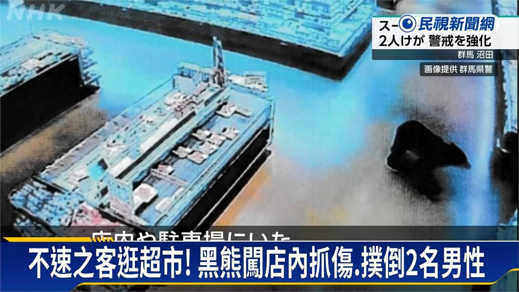 日本熊攻擊事件創新高 黑熊闖群馬縣超市「抓傷2人」