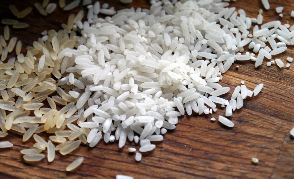 腸胃炎只吃吐司?醫揭「白色食物≠清淡」點名1地雷:家長常買錯