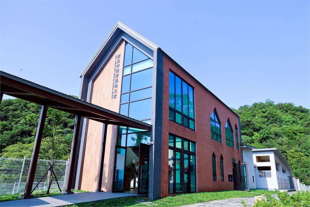 快新聞／貓狗住豪宅！「全國最夢幻動物之家」榮獲兩大獎　園區設計全曝光