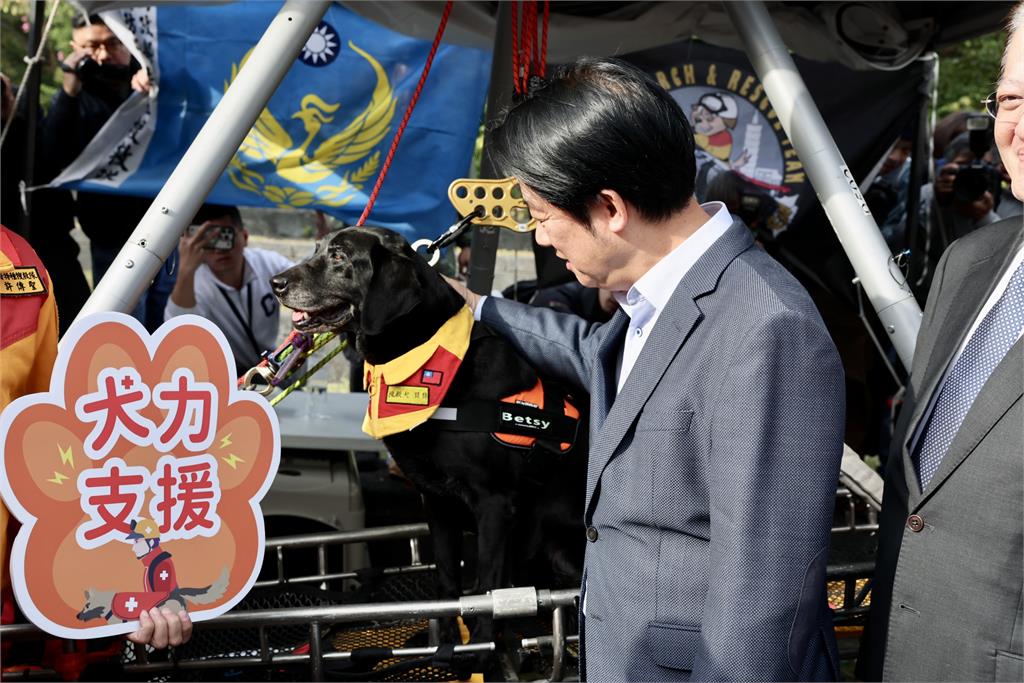 快新聞／比小孩還多！全台貓狗突破340萬　賴總統：推動更完整動保政策