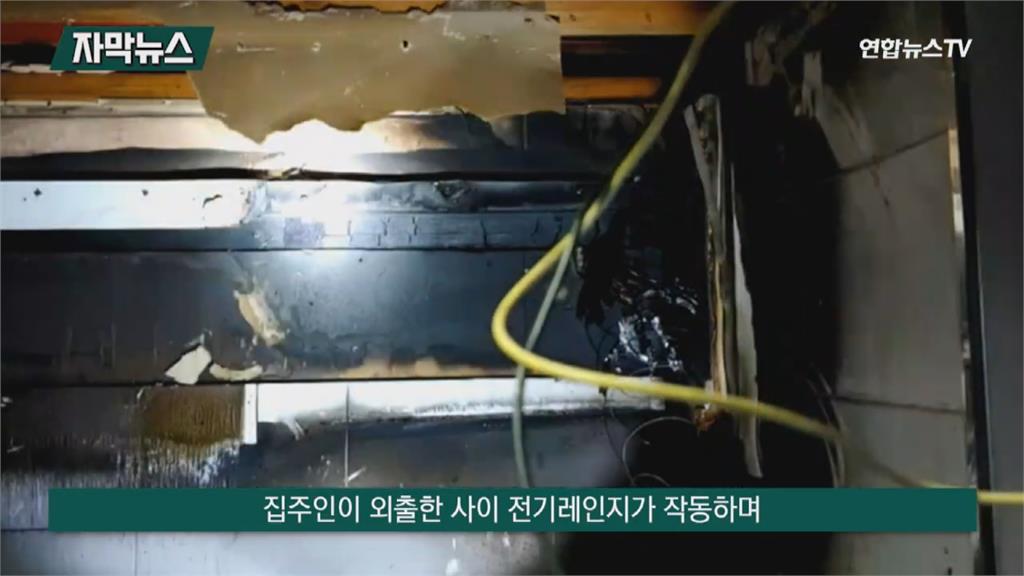 貓奴要小心! 南韓多起火災事故因「寵物貓」引起