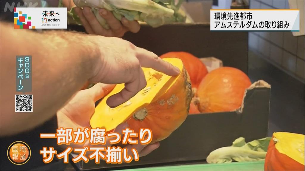 環保城市成功範例! 荷蘭食衣住行多方減碳