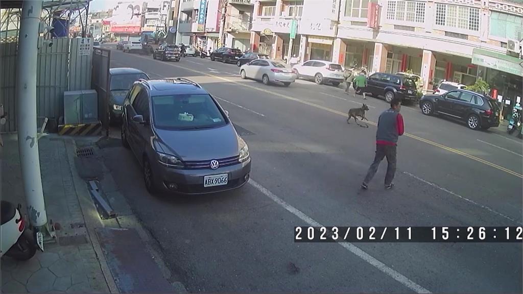 小黑狗跳出車外亂竄 女飼主驚嚇到淒厲慘叫
