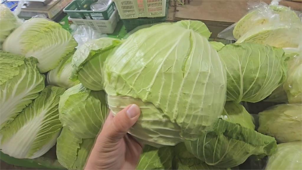 颱風接近菜價不平靜！　葉菜類驚漲「這一菜」翻漲3倍