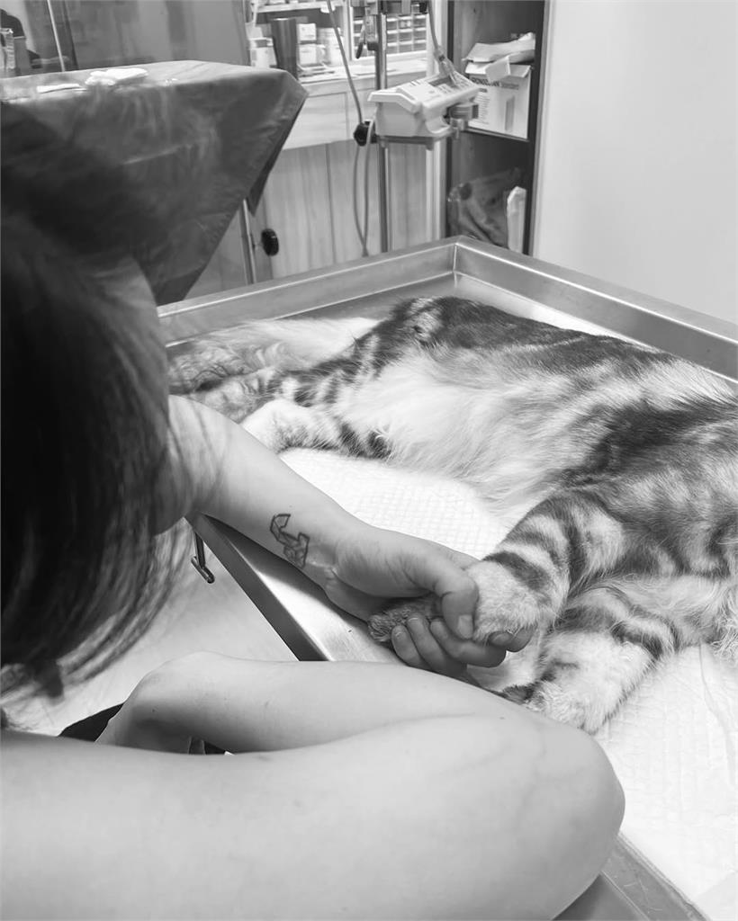 劉雨柔生產倒數突慟哭「媽媽的肚子等你回來」  本該是幸福時刻卻換來憾事