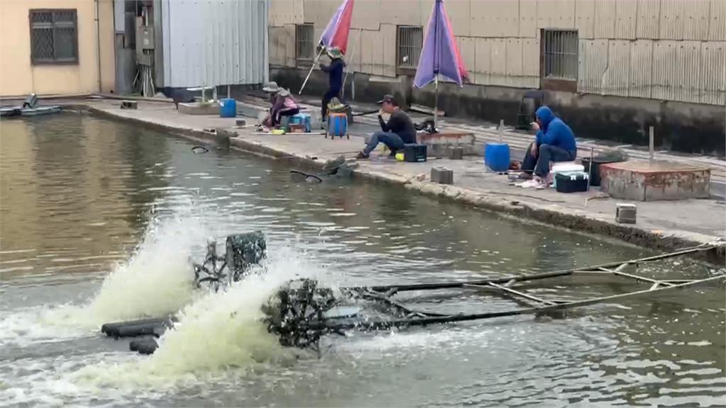 男子海釣場釣魚被「牠」拉入水中　友嚇壞急拉上岸！業者籲慎選裝備