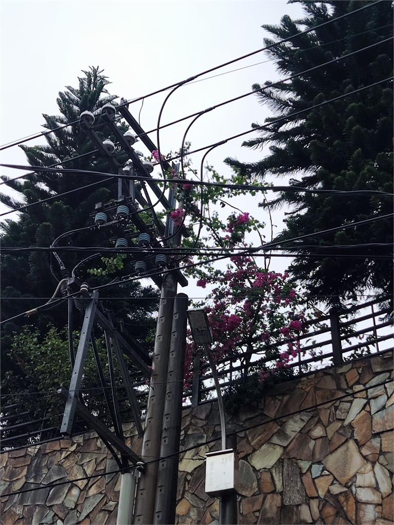 快新聞/暴雨害桃園近萬戶停電 饋線跳脫及路樹傾倒惹禍