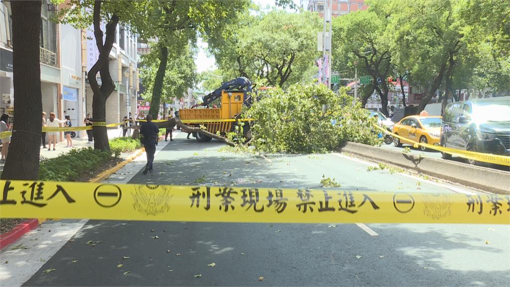 北市單日2起路樹倒塌意外　捷運站旁女路人遭砸傷