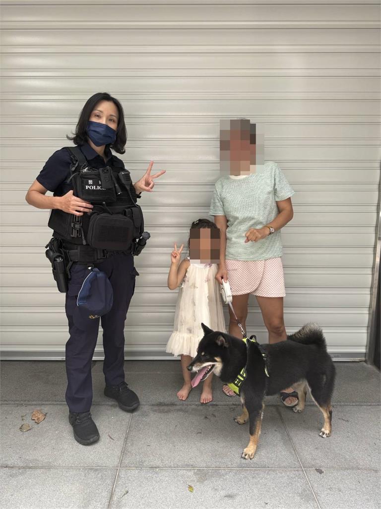 被噪音嚇到「落跑」 柴犬進超商吹冷氣警獲報帶路找主人