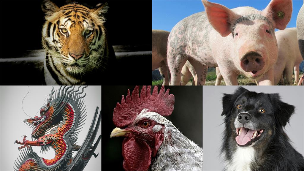  「大雪」節氣將至…5生肖運勢遇寒冬　命理師：需「收藏精氣、祛寒保溫」