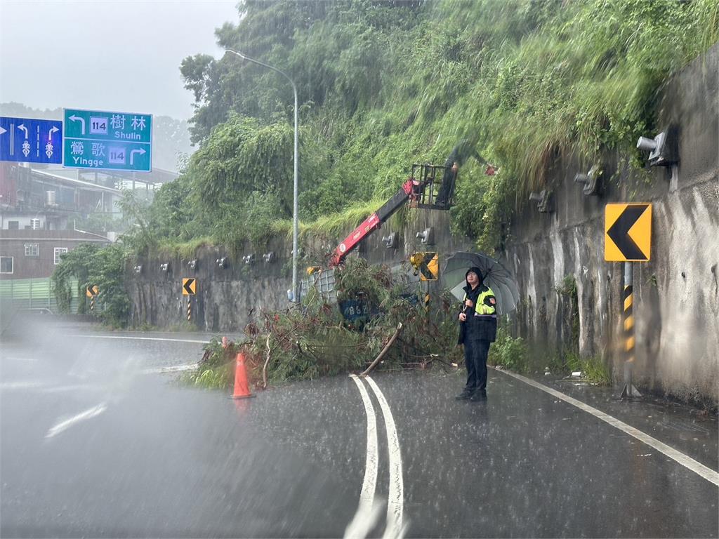 快新聞／雨不停！新北樹林、鶯歌積水　三鶯大橋出口路樹倒塌