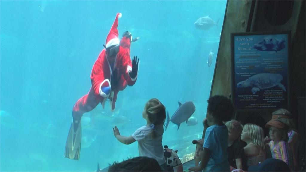 南非水族館迎耶誕出奇招　推出耶誕老人水中餵魚秀