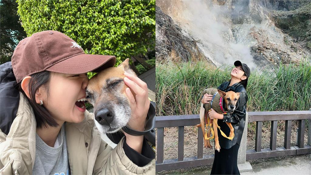 米可白「20天急砸9萬」救愛犬!哀嘆「這1句」全網心酸了:一定是捨不得