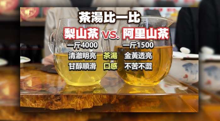 向陽面茶場少更顯珍貴　梨山茶一斤上萬元、日本人也瘋搶