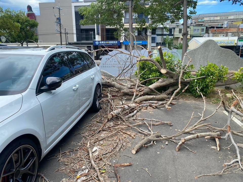 快新聞／楊柳颱風來襲！　苗栗停車場瞬間變「災區」樹倒5輛車遭殃