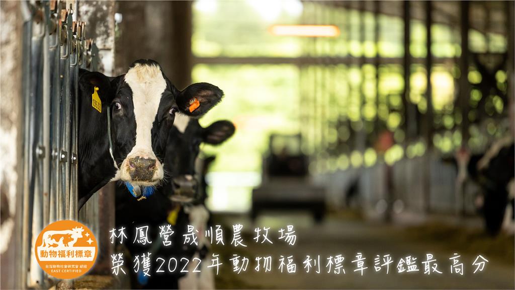 林鳳營晟順農牧場　榮獲2022年動物福利標章評鑑最高分