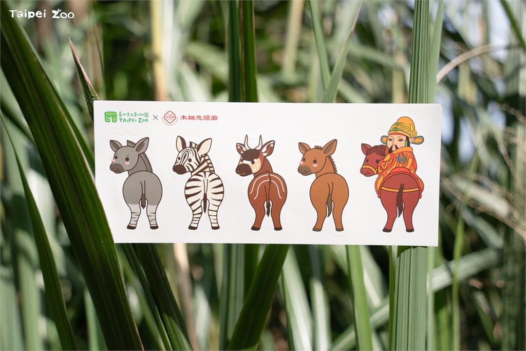 快新聞/「馬」上好禮!台北動物園推新春活動 盼遊客共挺瀕危動物