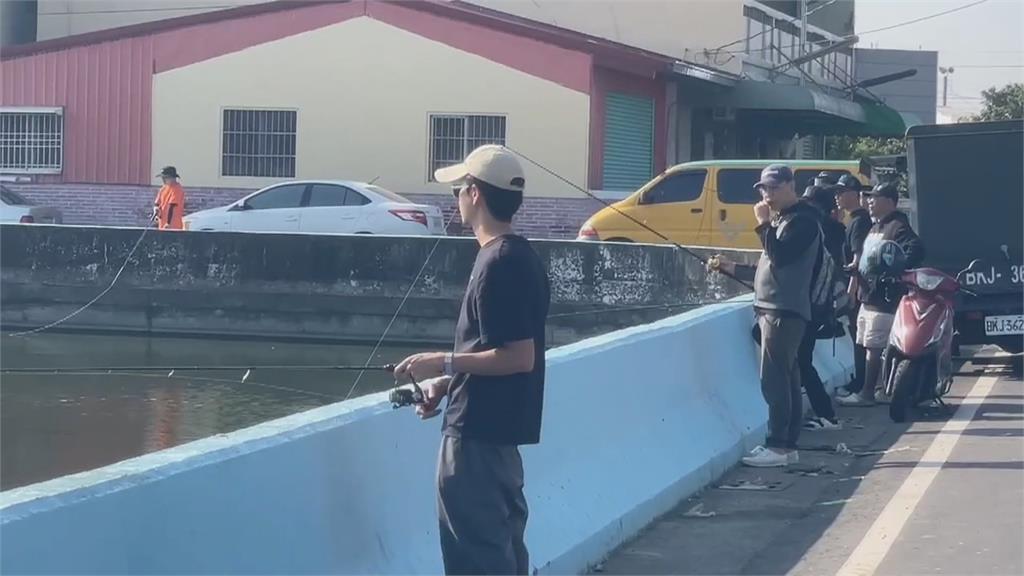 交給專業的！ 鱷雀鱔橫行多日 釣客兩小時制伏