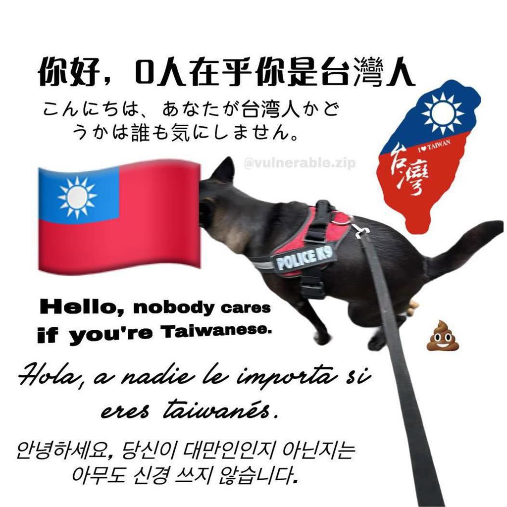 「您好,我台灣人」迷因圖太多!疑引「外國人反感」台網友嘆:存在感刷過頭