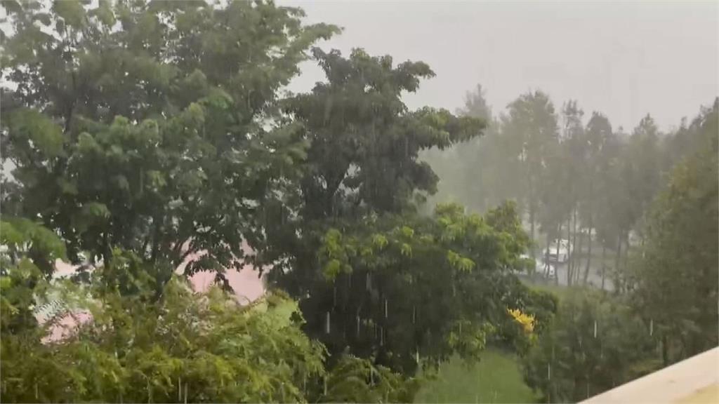 兩樣情! 民眾南投爬山 見市區下大雨、山上好天氣