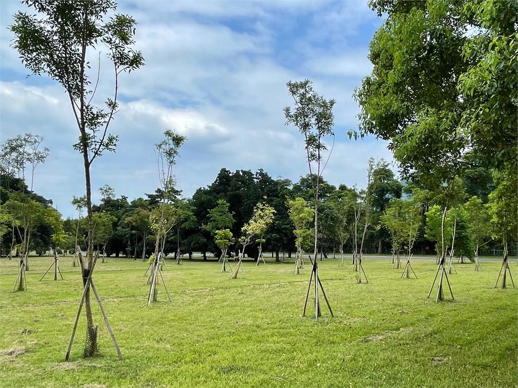 石門水庫北苑園區植樹自然碳匯註冊 獲環境部審查通過