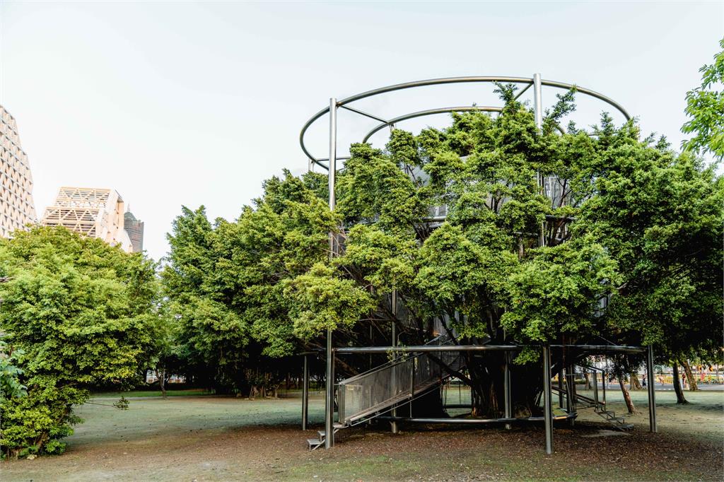 快新聞/駁二新地標「大樹宇宙」開放了! 360度環景遠眺港區美景