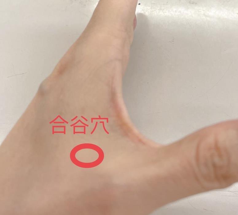 上班頭昏昏、腦鈍鈍!氣血不通怎辦 中醫:按壓「四穴位」提神又醒腦