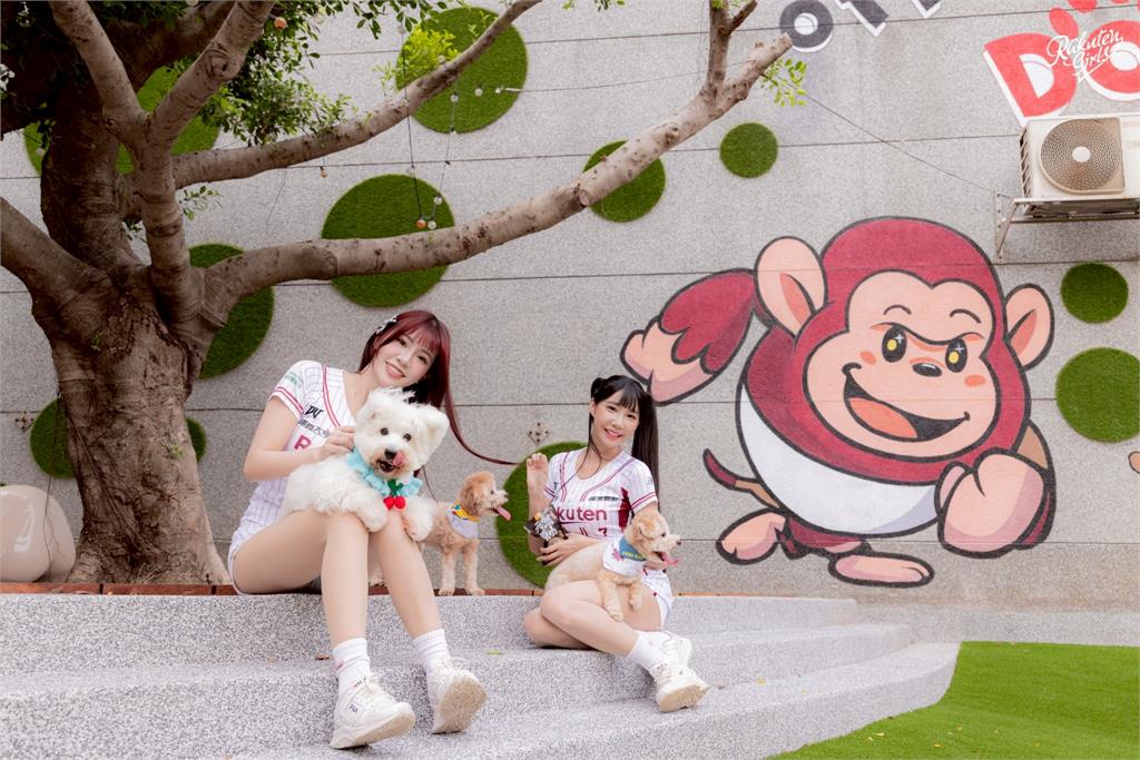 中職／全台首創！樂天桃猿打造「棒球場寵物樂園」　門票「這天」正式開賣