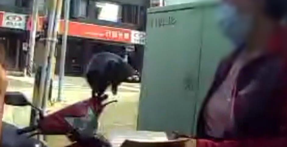 台中婦人騎車噴飛大量千元鈔! 清潔隊拾獲物歸原主